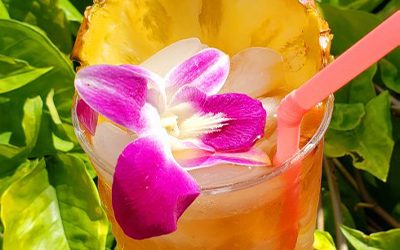 Kona Mai Tais