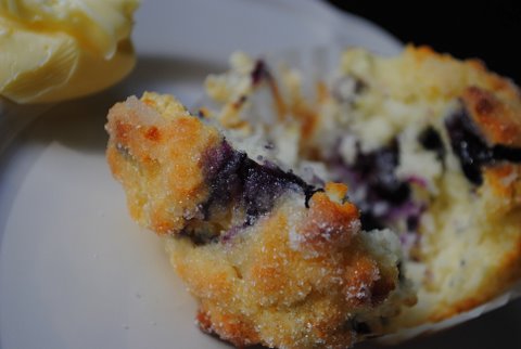 Blueberrymuffin Blueberrymuffin