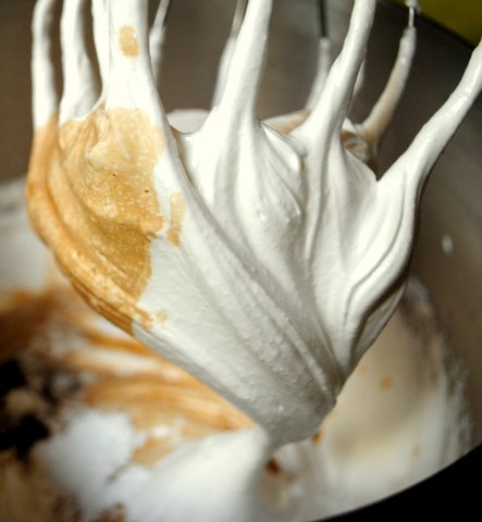 Pavvanilla Pavvanilla