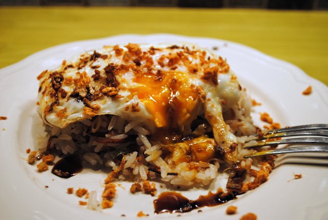 Gingerfriedrice1 Gingerfriedrice1