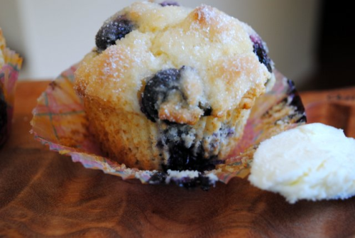 Bluemuffclose Bluemuffclose