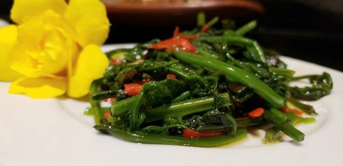 Villaferns Villaferns