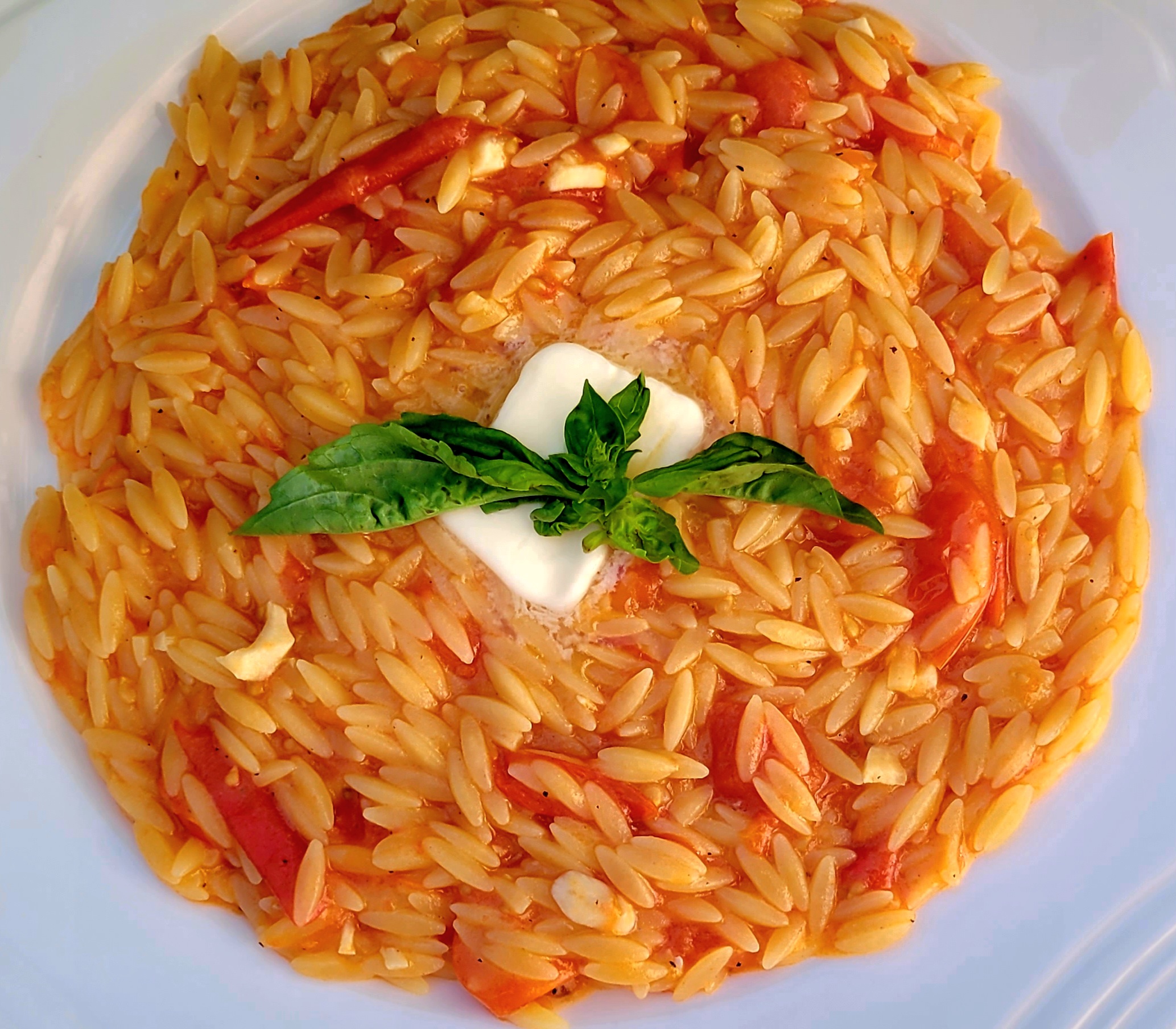 One Pan Tomato Orzo