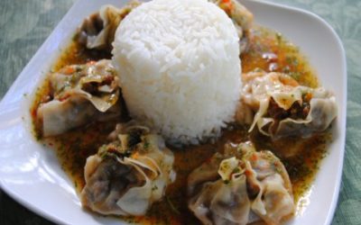 Chicken Sate Potstickers