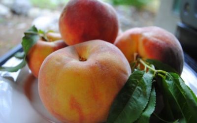 COOKIE-TOP PEACH COBBLER