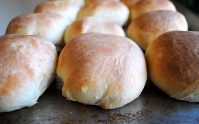 OLD-FASHIONED YEASTY DINNER ROLLS (starring in Hot Turkey Sandwiches)