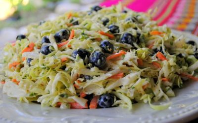 BLUEBERRY COLESLAW