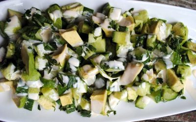 Splendid Little Avocado Cucumber Salad